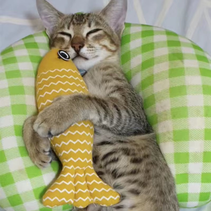 Cat Toys Fish Interactive Cat Toy Cat Chew Toy Simulation Fish Cat Pillow Kitten Exercise Kicker Toys for Indoor Cats Kitty Kit