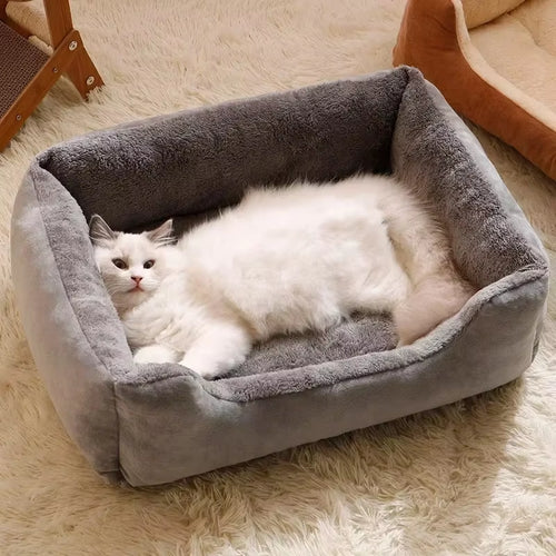 Bed for Cats Pet Products Cushions Kitten Winter Accessories Dog All Houses Supplies Things Accessory Habitats Basket House Beds