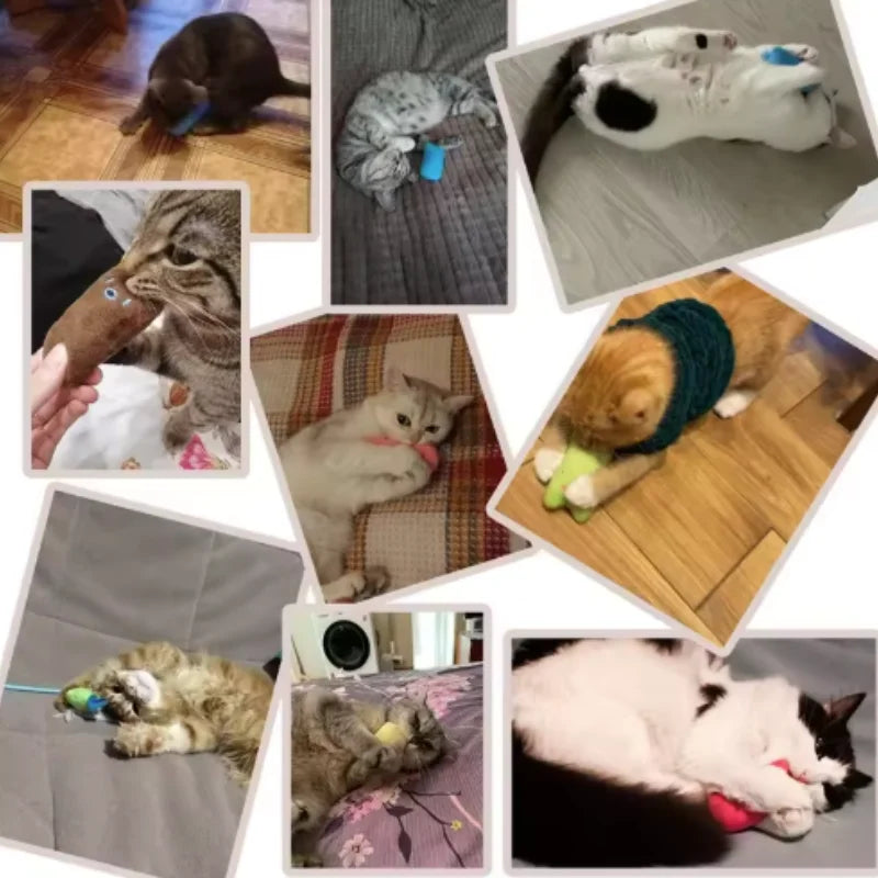 Teeth Grinding Catnip Toys Funny Interactive Plush Cat Toy Pet Kitten Chewing Vocal Toy Claws Thumb Bite Cat Mint for Cats