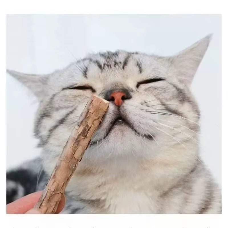20Pcs Woodruff Sticks for Cats Natural Catnip Chew Sticks Teeth Molar Chewing Toys for Cat Kitten Kitty Gifts